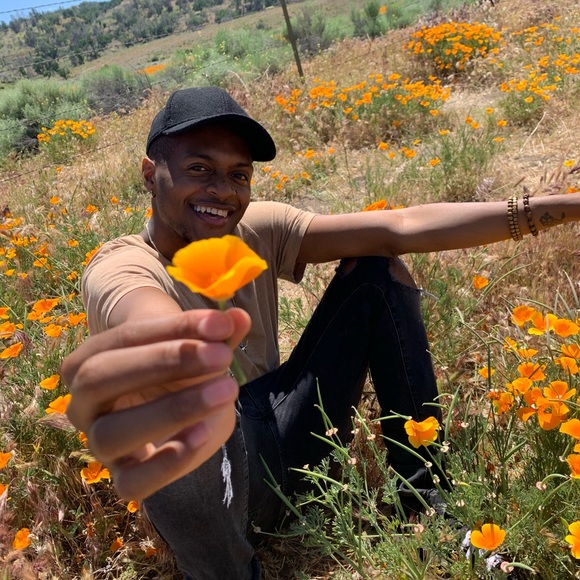 Meet your Posher, Stevie - Picture 1 of 1